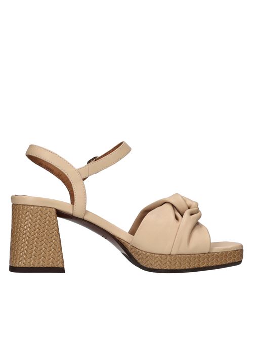  CHIE MIHARA | GELIA44 SOFTYNUDE-TAN